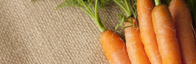 Fermented Foods